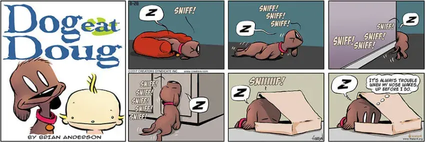 Dog Eat Doug for Aug 28, 2022