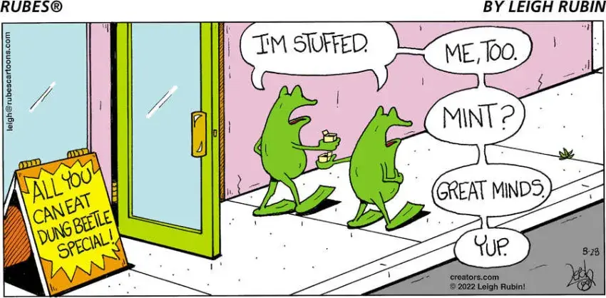 Rubes® for Aug 28, 2022