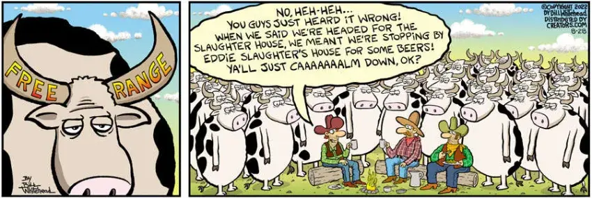 Free Range for Aug 28, 2022