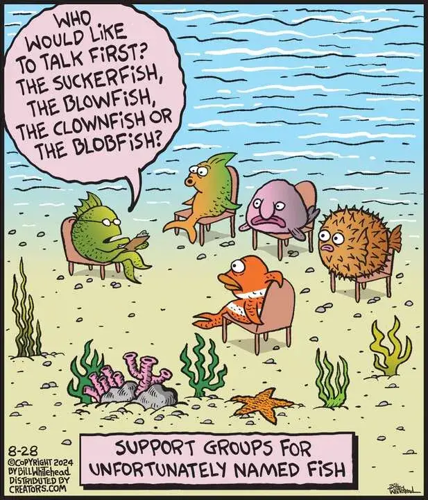 Free Range for Aug 28, 2024