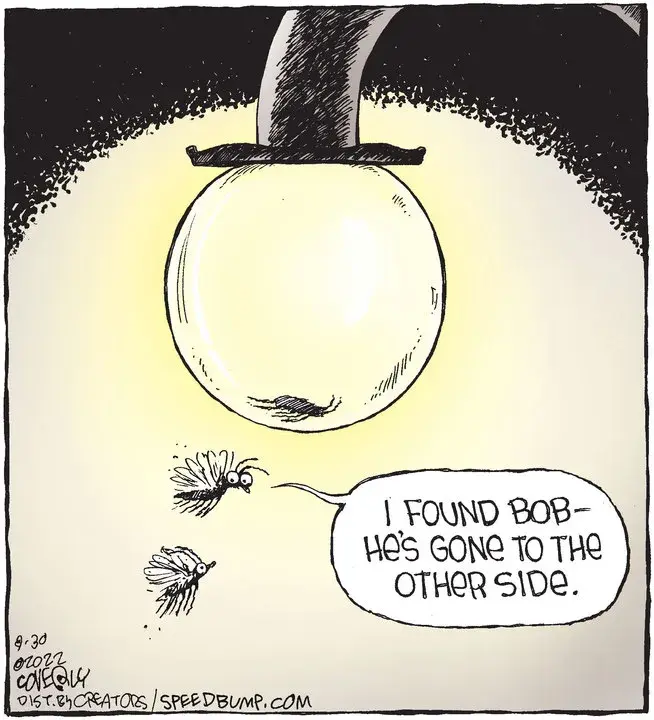 Speed Bump for Aug 30, 2022