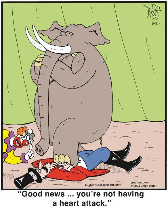 Rubes® for Aug 30, 2024