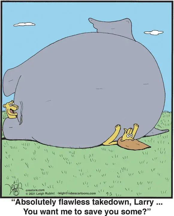 Rubes® for Sep 03, 2021