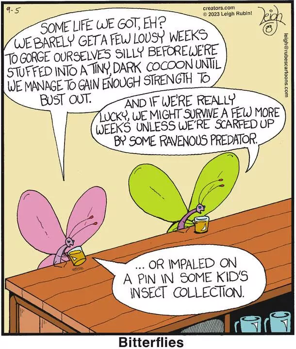 Rubes® for Sep 05, 2023