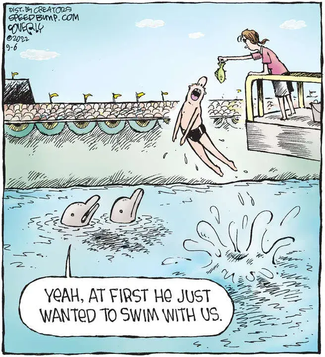 Speed Bump for Sep 06, 2022