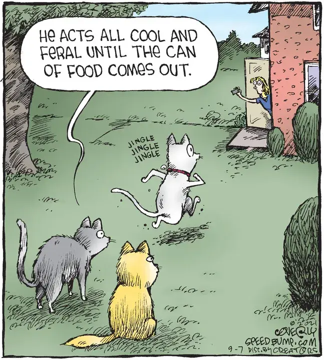 Speed Bump for Sep 07, 2021