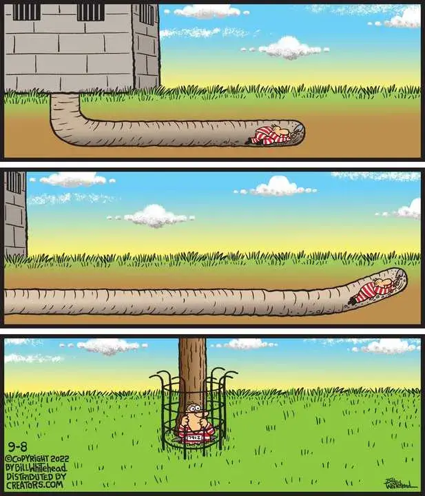 Free Range for Sep 08, 2022