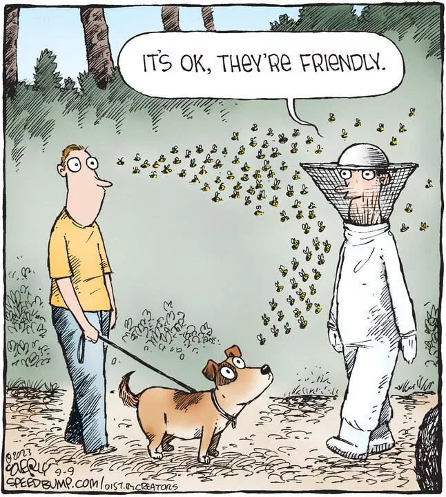 Speed Bump for Sep 09, 2023