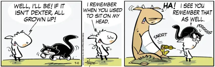 The Barn for Sep 10, 2021