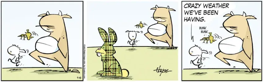 The Barn for Sep 10, 2022