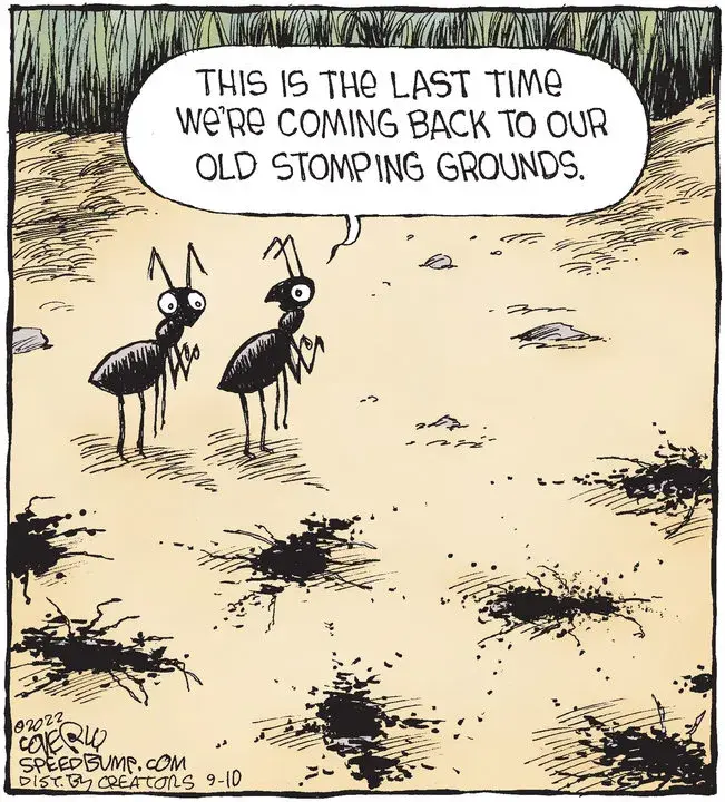 Speed Bump for Sep 10, 2022