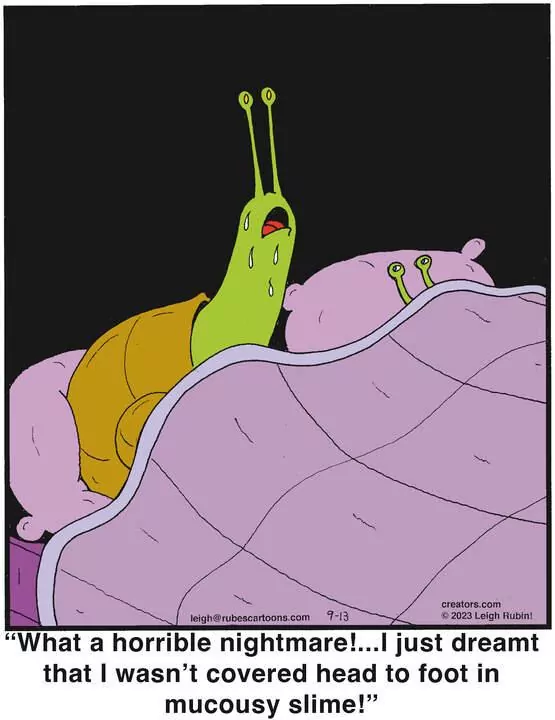 Rubes® for Sep 13, 2023