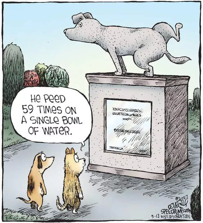 Speed Bump for Sep 13, 2023