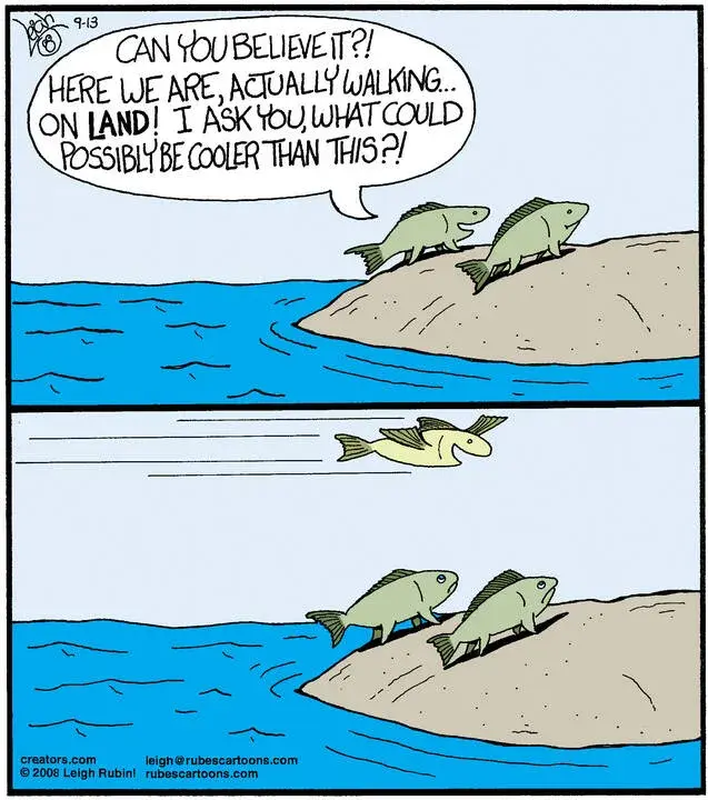 Rubes® for Sep 13, 2024