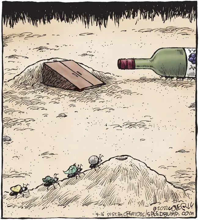 Speed Bump for Sep 16, 2022