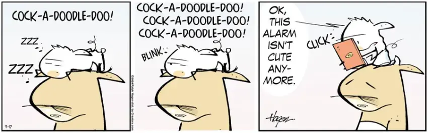 The Barn for Sep 17, 2024