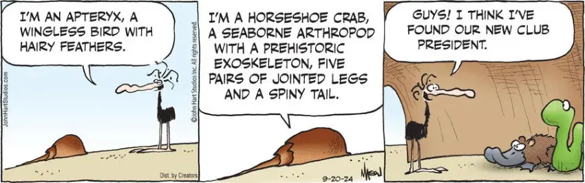 B.C. for Sep 20, 2024