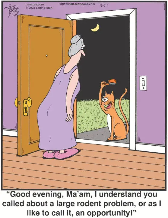 Rubes® for Sep 21, 2022