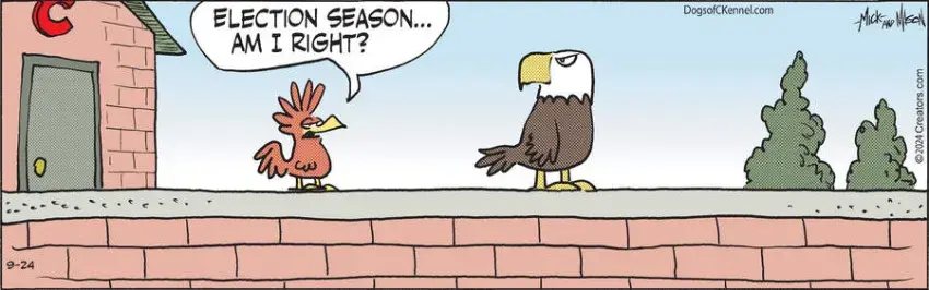 Dogs of C-Kennel for Sep 24, 2024