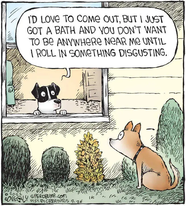 Speed Bump for Sep 26, 2022