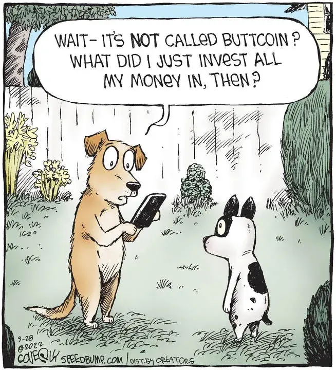 Speed Bump for Sep 28, 2022