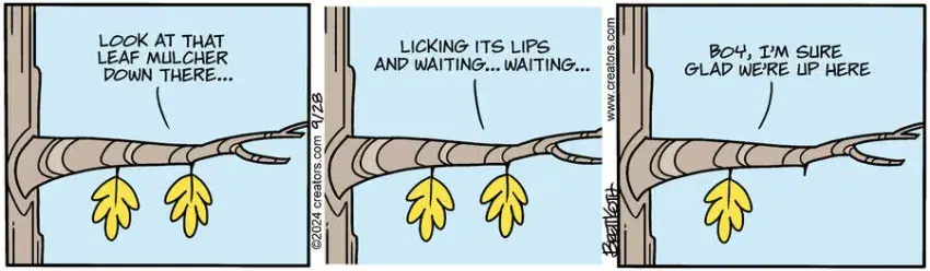 Diamond Lil for Sep 28, 2024