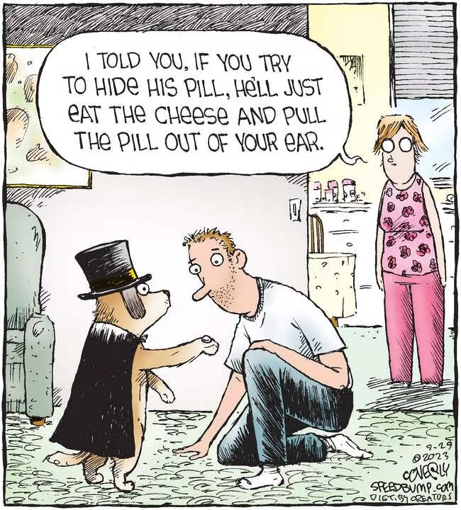 Speed Bump for Sep 29, 2023