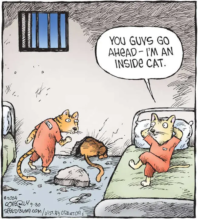 Speed Bump for Sep 30, 2024