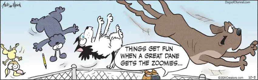 Dogs of C-Kennel for Oct 02, 2024