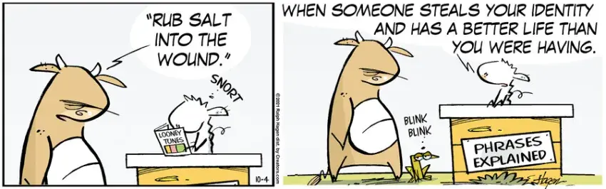 The Barn for Oct 04, 2021