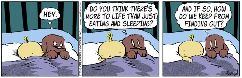 Dog Eat Doug for Oct 04, 2021