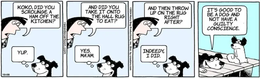 The Other Coast for Oct 08, 2024