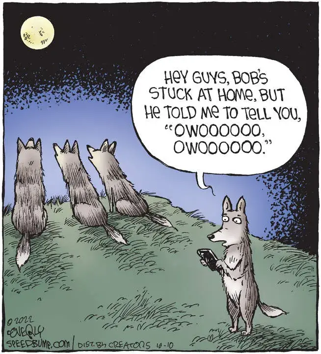 Speed Bump for Oct 10, 2022