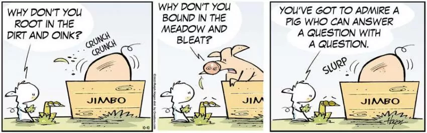 The Barn for Oct 10, 2023