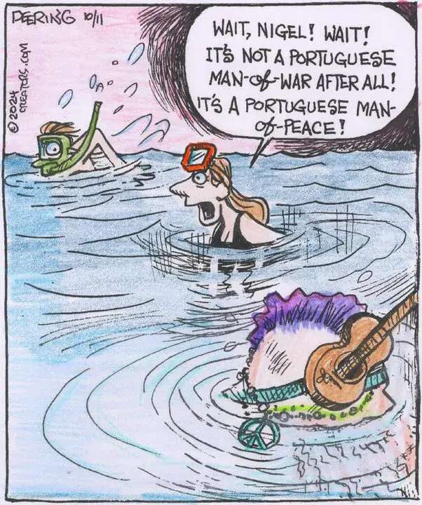 Strange Brew for Oct 11, 2024