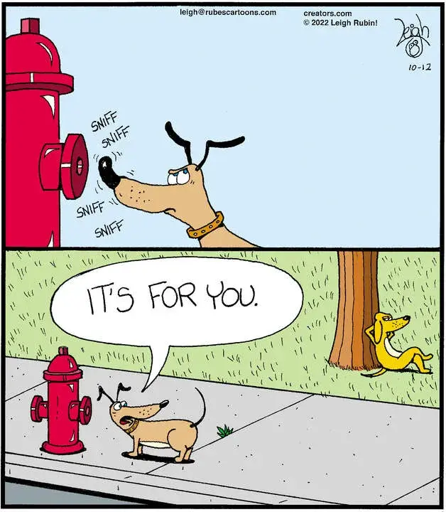 Rubes® for Oct 12, 2022