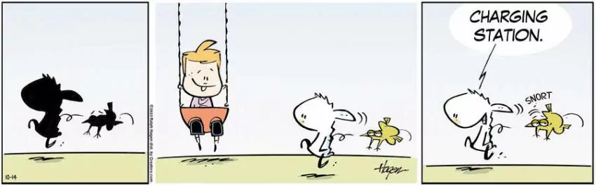 The Barn for Oct 14, 2023