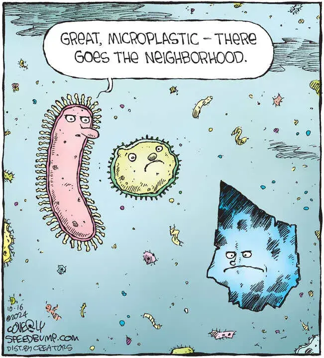 Speed Bump for Oct 16, 2024