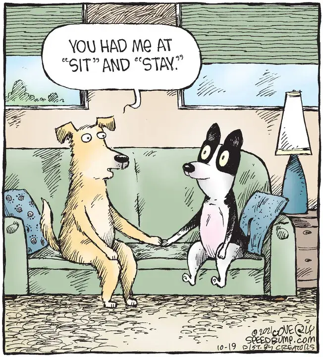 Speed Bump for Oct 19, 2021