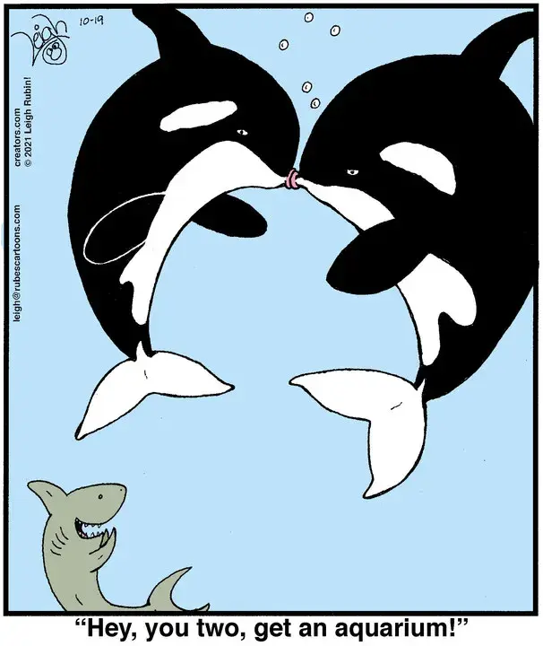 Rubes® for Oct 19, 2021