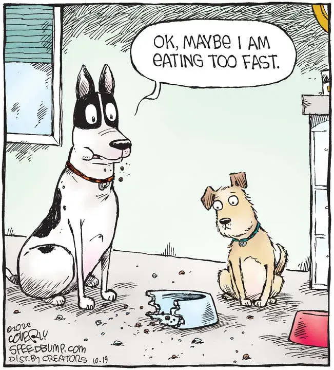 Speed Bump for Oct 19, 2022