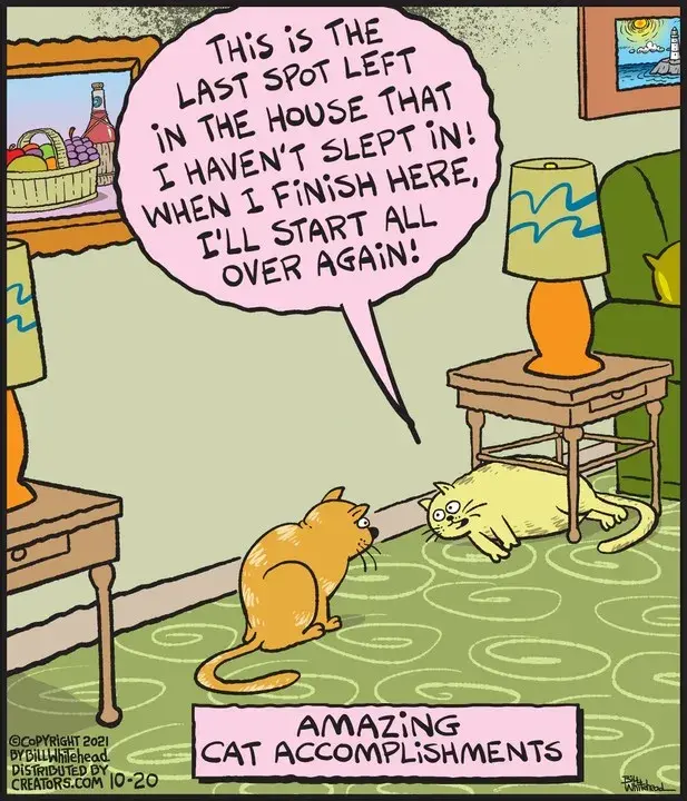 Free Range for Oct 20, 2021