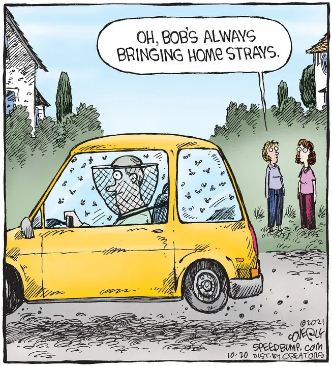 Speed Bump for Oct 20, 2021