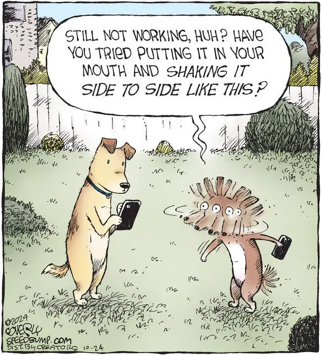 Speed Bump for Oct 24, 2024