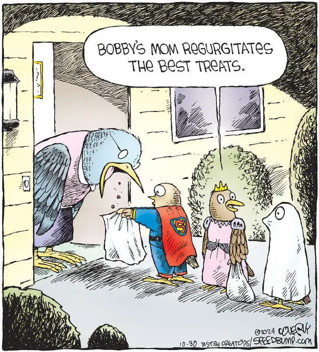 Speed Bump for Oct 30, 2024