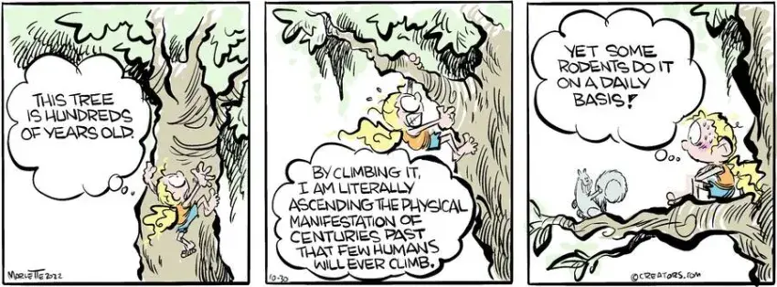 Shrimp and Grits for Oct 30, 2024