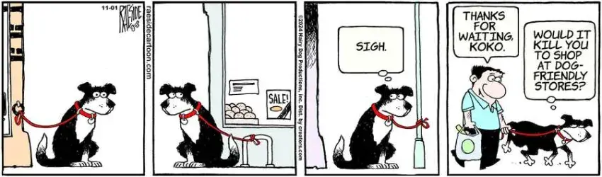 The Other Coast for Nov 01, 2024