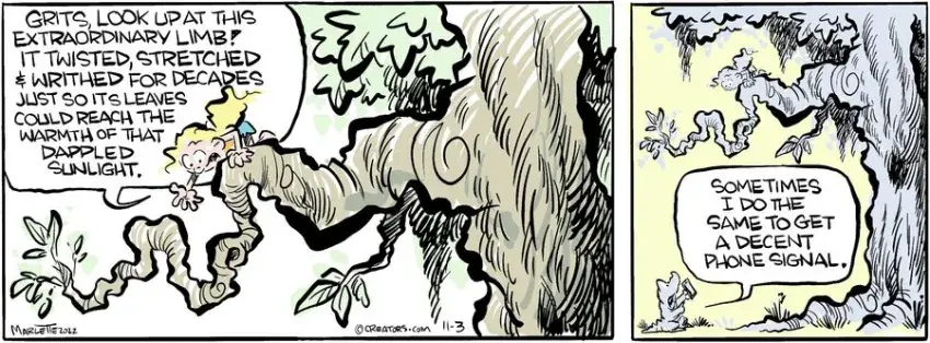 Shrimp and Grits for Nov 03, 2022