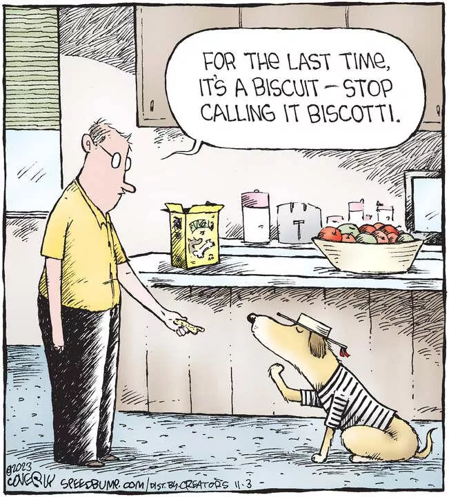 Speed Bump for Nov 03, 2023