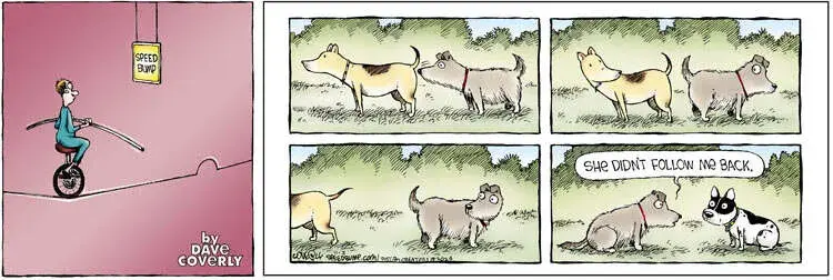 Speed Bump for Nov 03, 2024